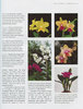 PRACTICAL ENCYCLOPEDIA OF ORCHIDS