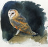 LARS JONSSON'S BIRDS: Paintings From a Near Horizon