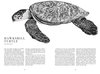 BOOK OF VANISHING SPECIES: Illustrated Lives