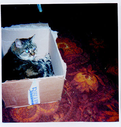 Bib boxes are so cosy!\\n\\n10/02/2011 14:32