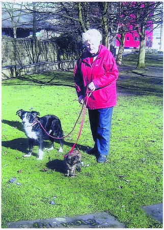 Customer Cath Wilkinson, Oliver the collie and Bramble the cat (ON A LEAD!)\\n\\n09/10/2012 17:39