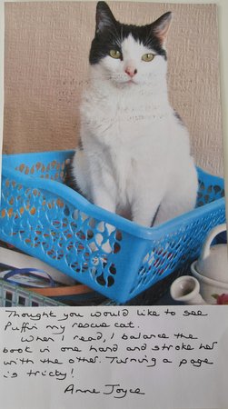Customer letter and picture of Puffin the rescue cat, April 2022. Isn't he handsome?\\n\\n10/06/2022 15:09
